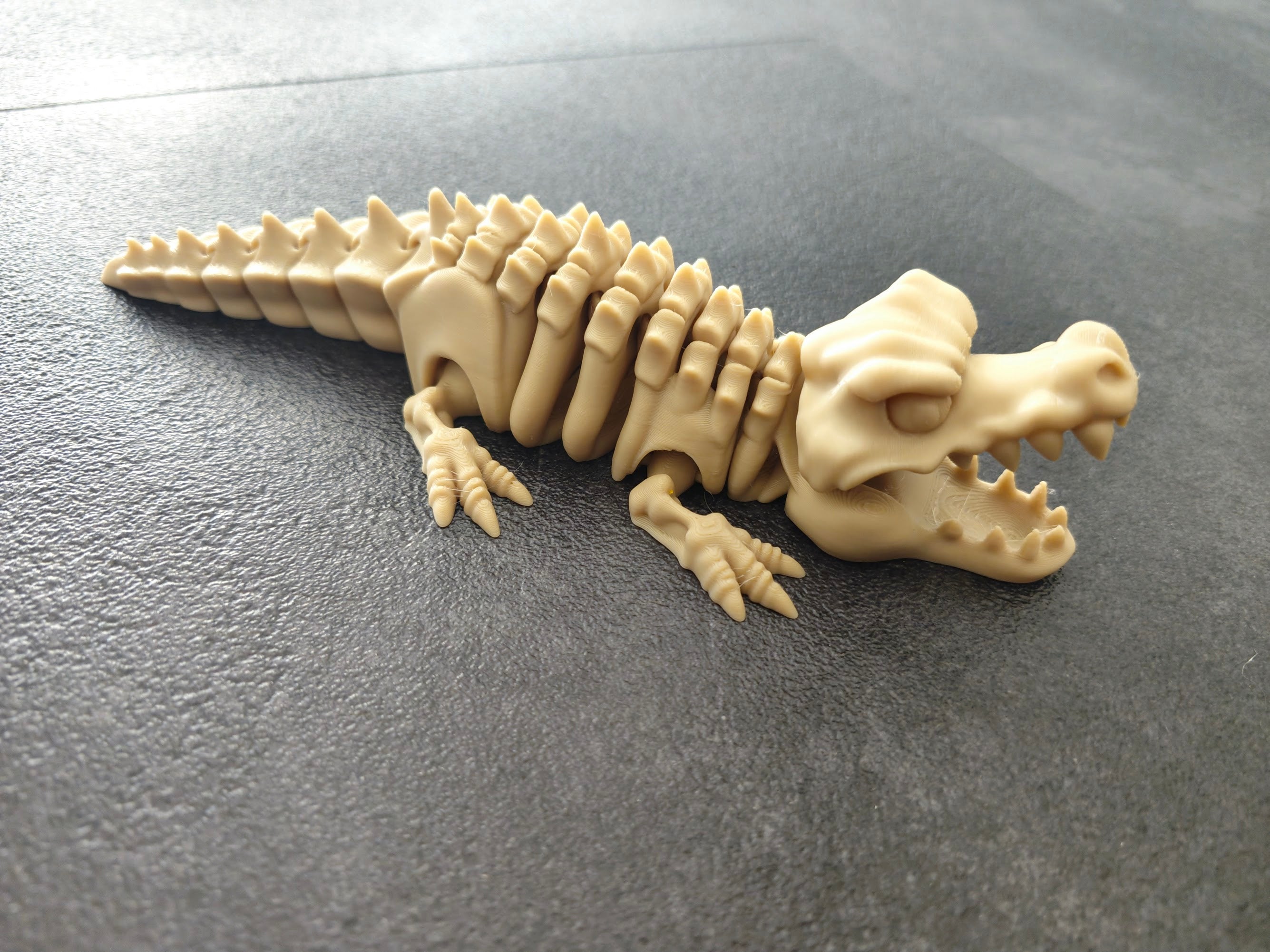 Skeletal Flexi Crocodile knochen