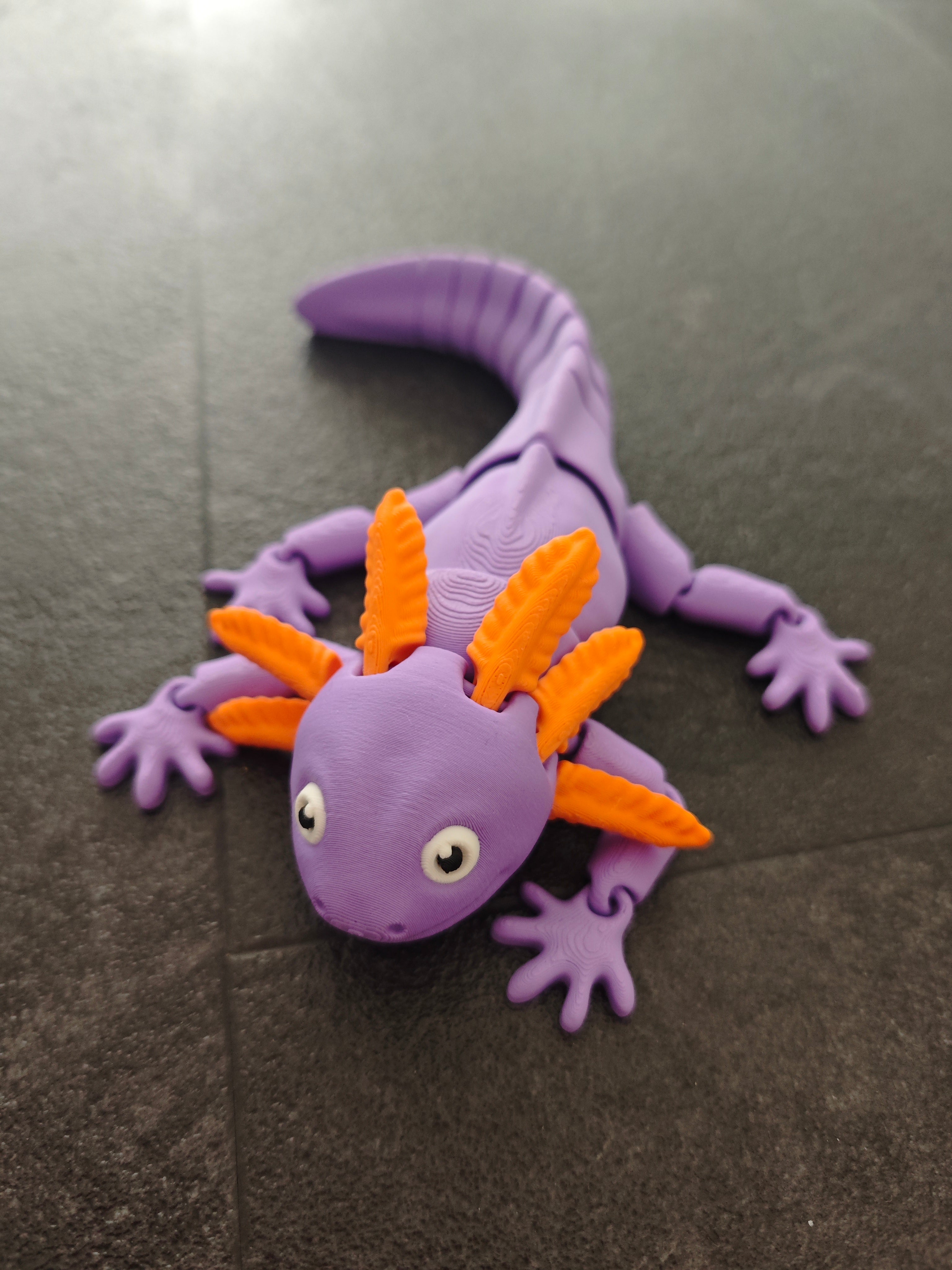Axolotl gross violett orange
