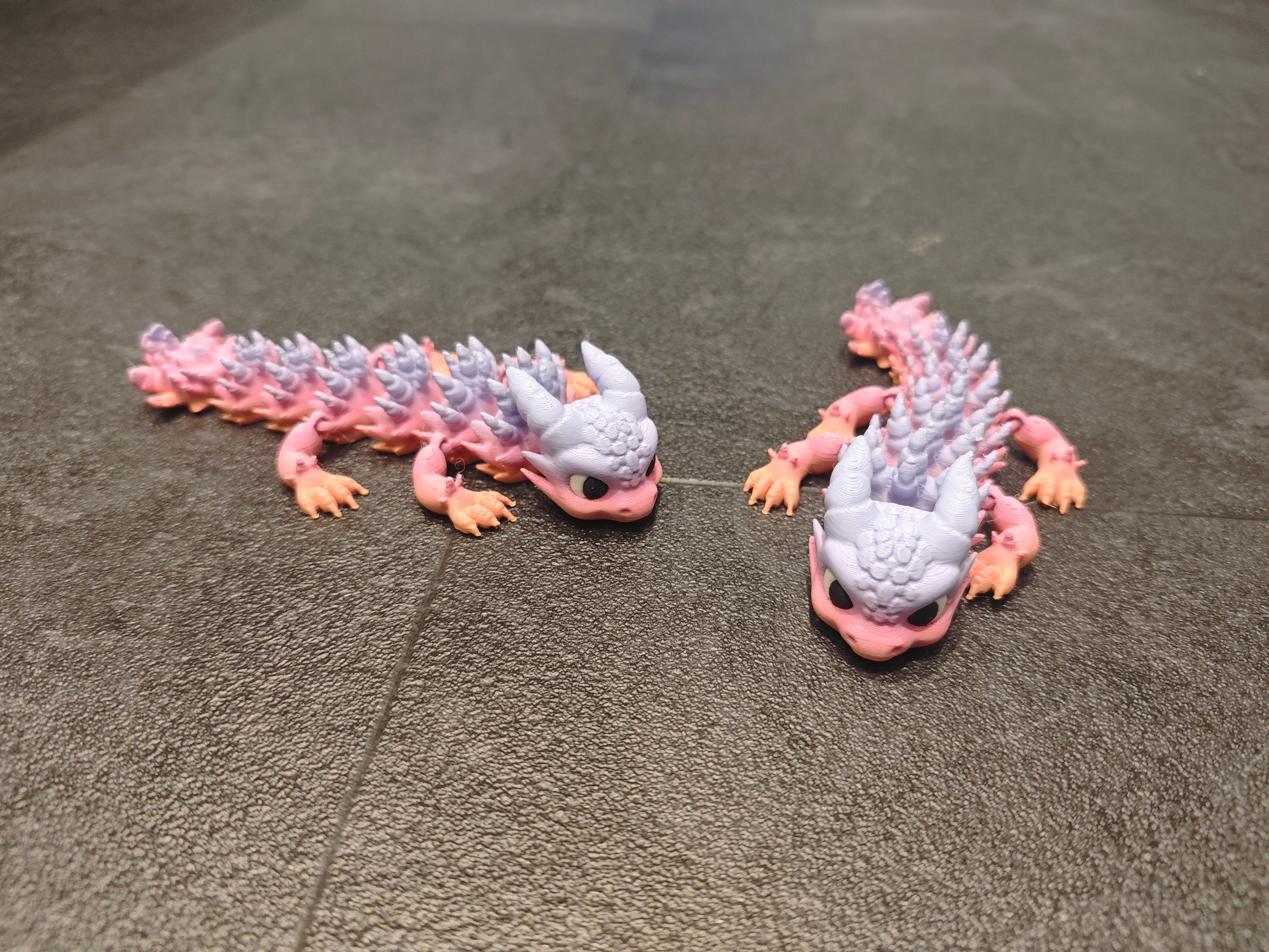 Borstendrache orange rosa violett