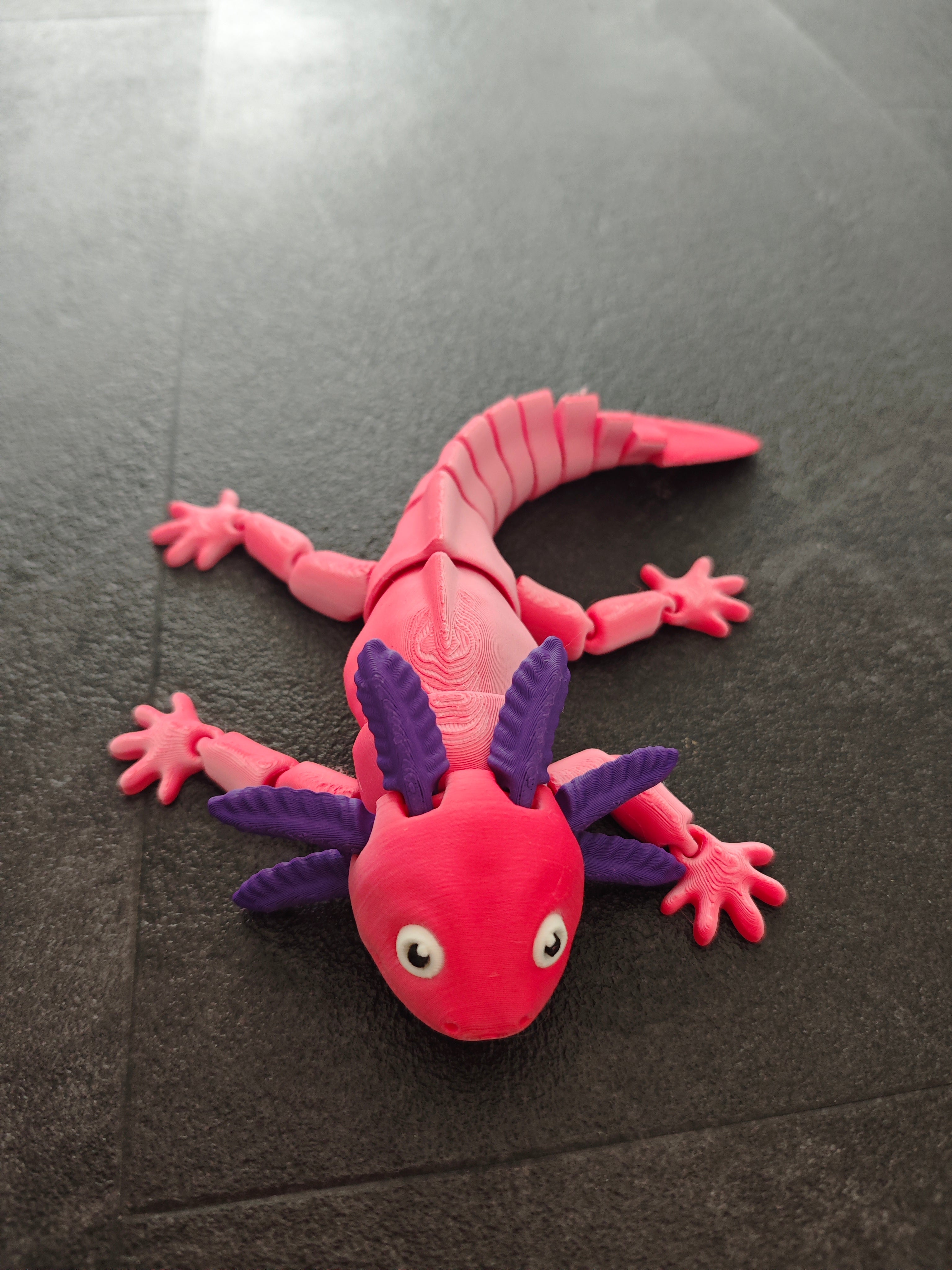 Axolotl gross Flamingo pink rot