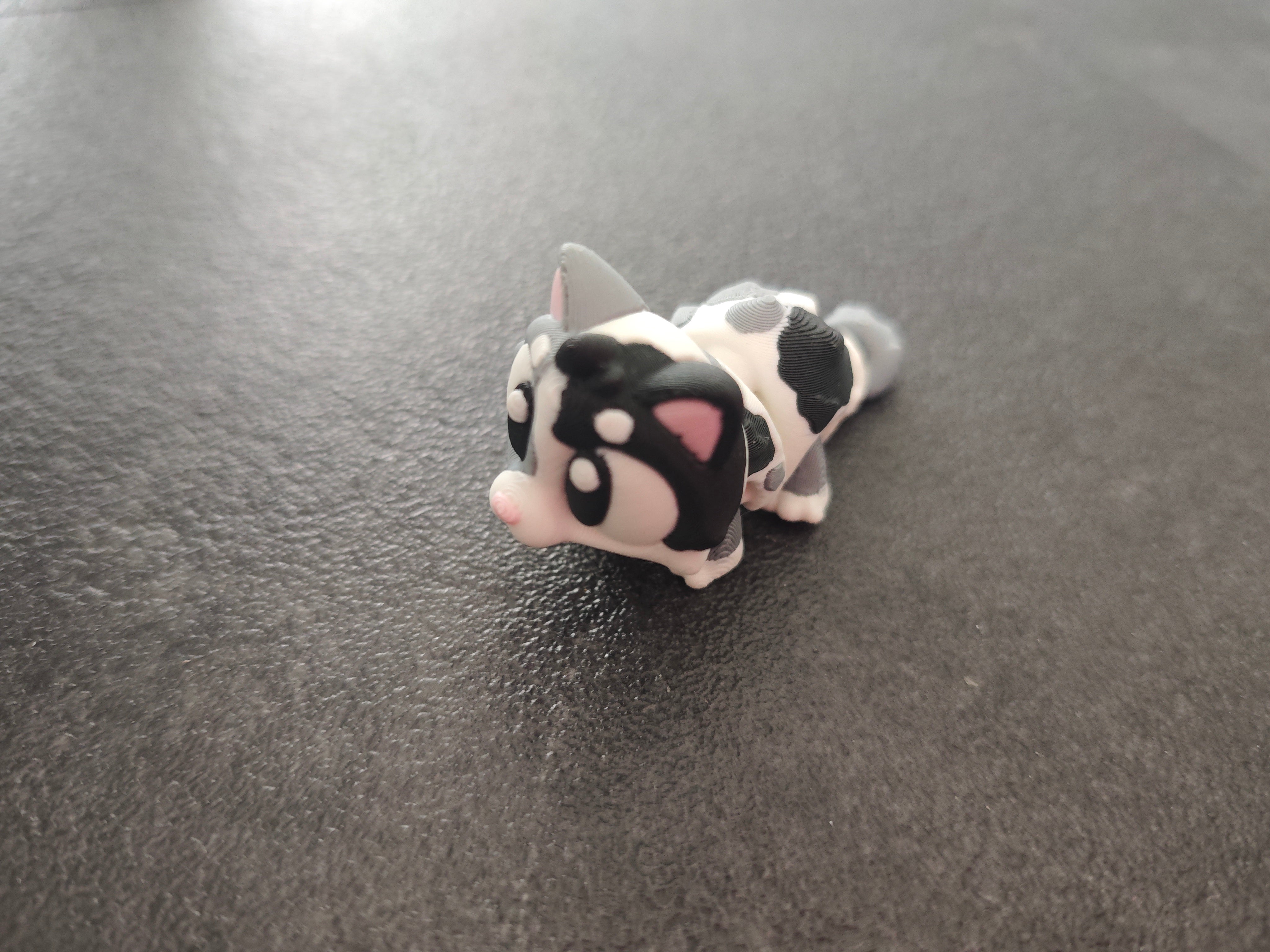 Katze