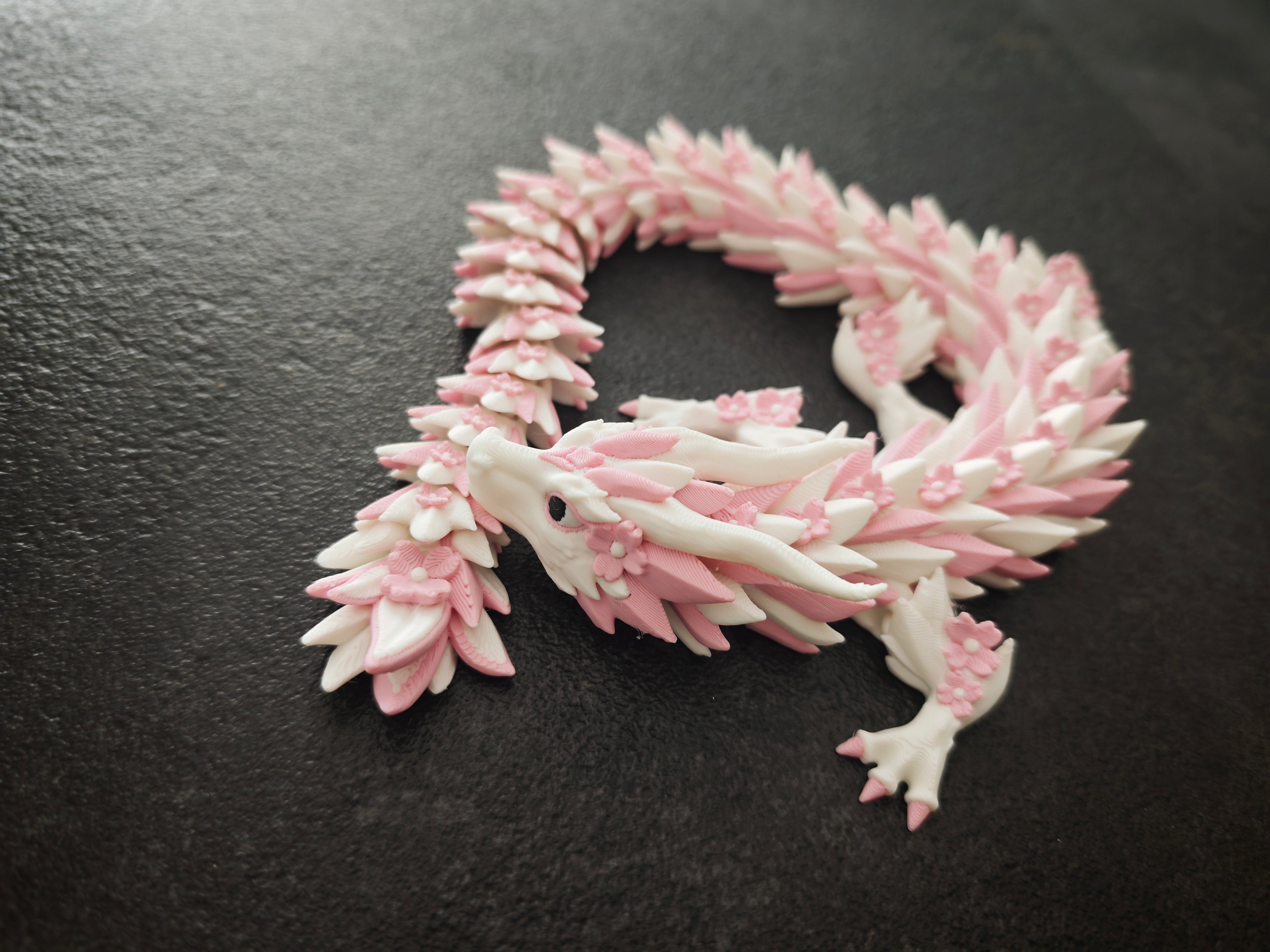 Der Kirschblütendrache weiss, rosa