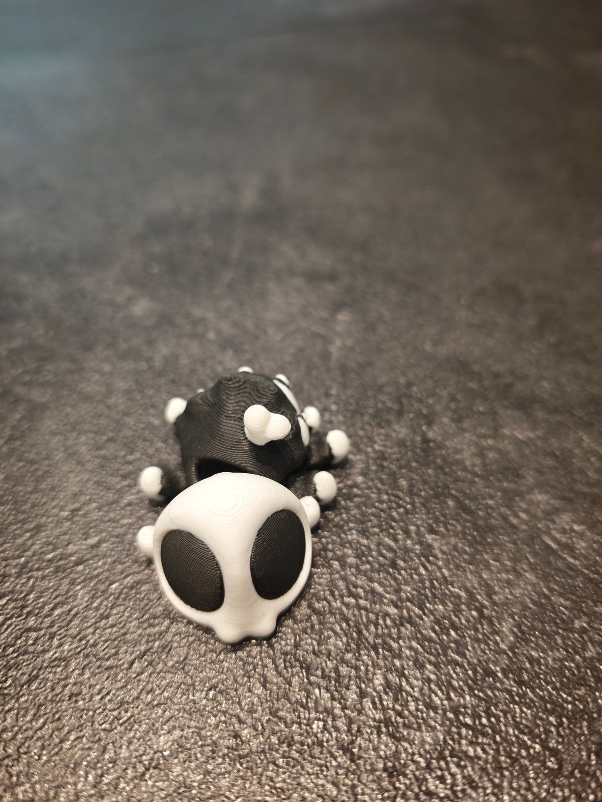 Halloween Spinne Skelett